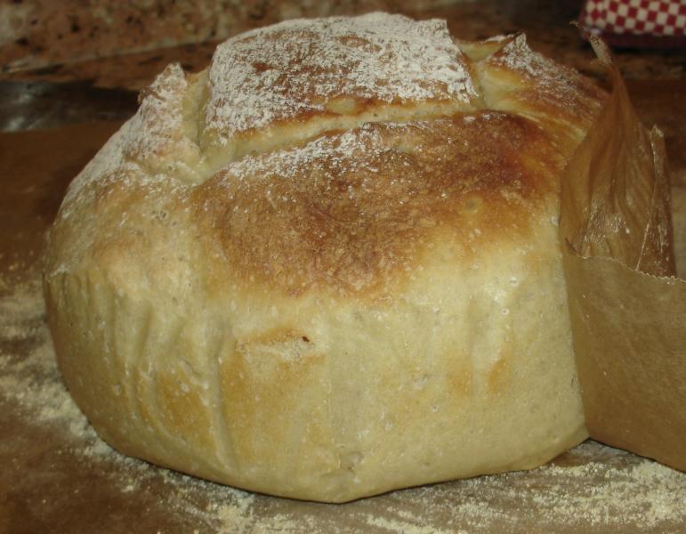 Bread in a collar 002.JPG